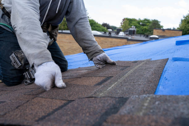 Best Residential Roofing Contractor  in Cherry Grove, OH